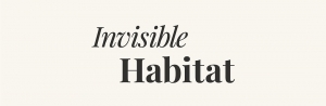 Invisible Habitat Interviews Anita Rogers