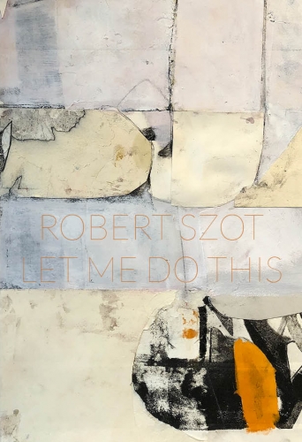 Robert Szot "Let Me Do This" at Anita Rogers Gallery