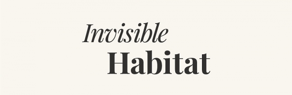 Morgan O'Hara Interviewed by Invisible Habitat